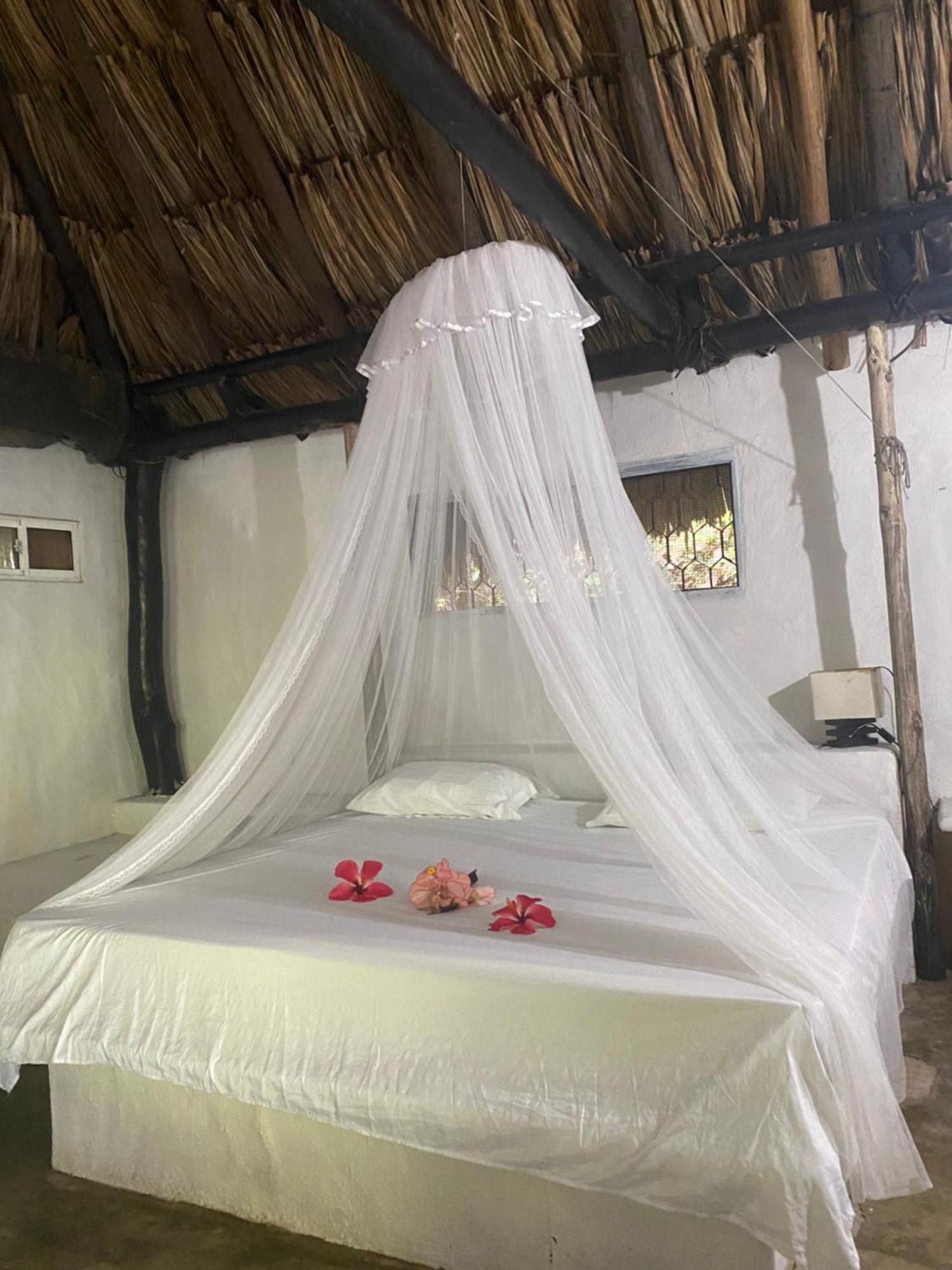 Taironaka Eco Hotel Don Diego Eksteriør billede
